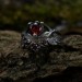Gothic-Inspired Silver Ring Set with Red Garnet Gemstones