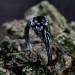 Gothic Silver Ring with a Bold Black Onyx