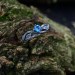 Azure Flame Silver Ring with Blue Topaz