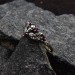 Garnet Gothic Skull Ring with Dark Intricacy