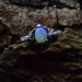Elegant Minimalist Silver Ring with Polished Shine|Vintage Moon Engagement Ring