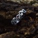 Exquisite Gothic Silver Ring with Garnet and Twisted Design