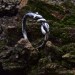 Nature-Inspired Silver Ring with Intricate Leaf Motif