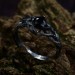 Dark Silver Ring with Black Obsidian Gemstone