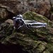 Black Onyx Gothic Ring – Mystical Silver Statement Jewelry