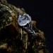 Elegant Moonstone Ring with Nature-Inspired Design