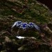 Stars of Midnight: Gothic Sterling Silver Ring with Sapphire Accents