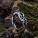 Silver Ring with Emeralds and Intricate Leaf Motif