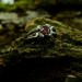 Gothic Floral Ring with Garnet Centerpiece