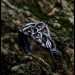 Vine of Passion: Gothic Sterling Silver Ring with Garnet Gems