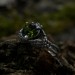 Unique Silver Ring with Vibrant Green Peridot Gemstone