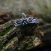 Twisted Vine Silver Ring Set with Emerald Stones