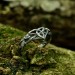 Gothic Silver Ring with Intricate Root-Inspired Design