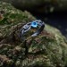 Azure Flame Silver Ring with Blue Topaz