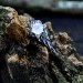 Elegant Gothic Ring with Moonstone Gemstone