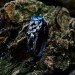 Majestic Dragon Ring with Blue Topaz Gemstone