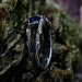 Twilight Veil: Gothic Sterling Silver Ring with Deep Sapphire