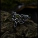 Forest Chevron Twig and Leaf Ring with Peridot for Engagement
