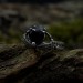 Elegant Gothic Ring with Black Onyx Gemstone