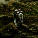 Gothic Floral Ring with Garnet Centerpiece