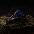 Gothic Sapphire Ring with Mystical Twilight Design