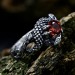 Silver Ring with Dragon Claw and Garnet Design