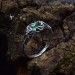Handcrafted Silver Ring Featuring a Radiant Emerald