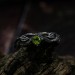Nature-Inspired Peridot Silver Ring for Elegant Souls
