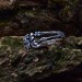 Dainty Aquamarine Ring with Vintage Flower Leaf – Unusual Nature-Inspired Engagement Ring