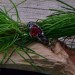 Gothic Garnet Ring with Intricate Flame Motif