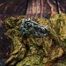 Enchanted Gothic Silver Ring with Emerald Vines