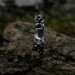 Crescent Moon Gothic Ring with Intricate Woven Band