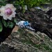 Exquisite Blue Topaz Silver Ring with Organic Design