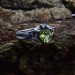 Gothic Silver Ring with a Vibrant Olivine Gemstone