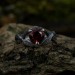 Gothic-Inspired Silver Ring Set with Red Garnet Gemstones