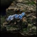 Gothic Silver Ring with Blue Topaz and Nature Design