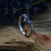 Celestial Band: Gothic Sterling Silver Ring with Sapphire Gemstones