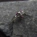 Gothic Silver Ring with Skull and Ruby Design