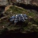 Dainty Aquamarine Ring with Vintage Flower Leaf – Unusual Nature-Inspired Engagement Ring