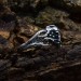 Gothic Silver Skeleton Hand Ring – Embrace Dark Fantasy