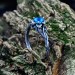 legant Gothic Ring with Aquamarine Gemstone