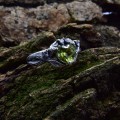 Elegant Gothic Ring with Vibrant Olive