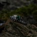 Forest Grace: Gothic Sterling Silver Ring with Emerald Gemstone