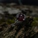 Heart-Shaped Ruby Ring - Gothic Charm in Dark Silver