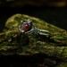 Crimson Red Garnet Ring – Gothic Silver Elegance