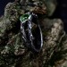 Gothic Silver Ring with Emerald and Branch Design