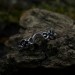 Crescent Moon Gothic Ring with Intricate Woven Band