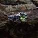 Elegant Gothic Ring with Vibrant Olive