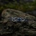 Gothic Blue Topaz Ring with Intricate Celtic Knot Motif