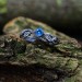 Azure Flame Silver Ring with Blue Topaz